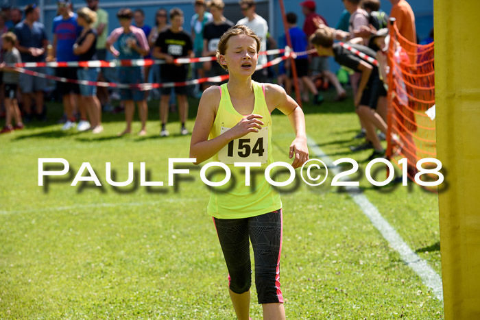 Baira Cross Lauf, 1. Sommercup SGW