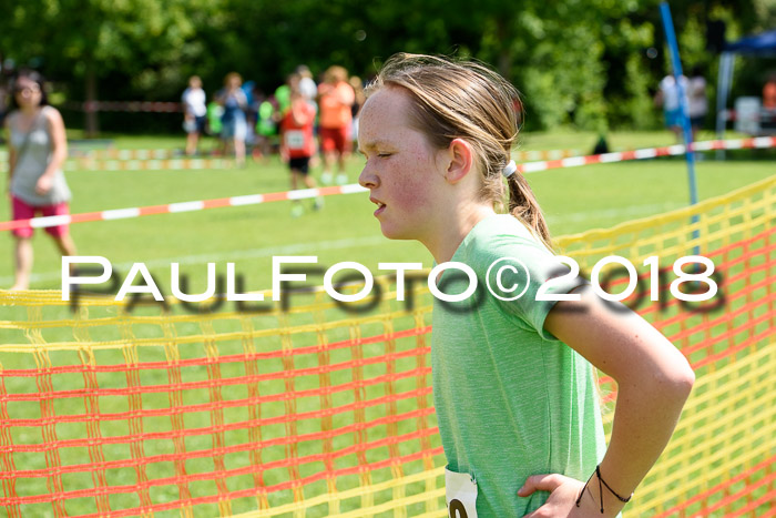 Baira Cross Lauf, 1. Sommercup SGW
