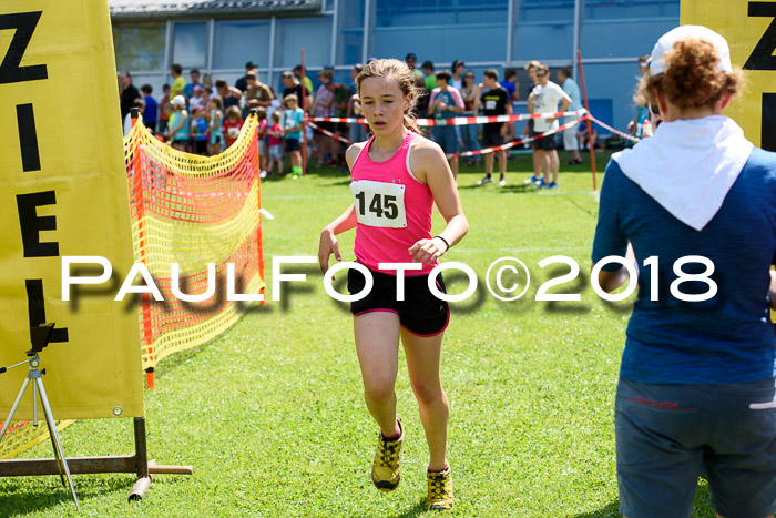 Baira Cross Lauf, 1. Sommercup SGW