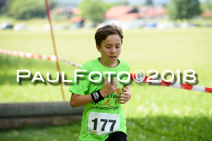 Baira Cross Lauf, 1. Sommercup SGW