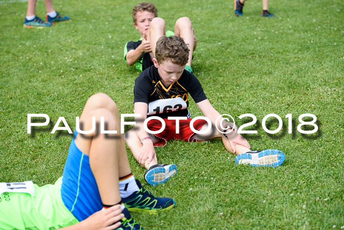 Baira Cross Lauf, 1. Sommercup SGW
