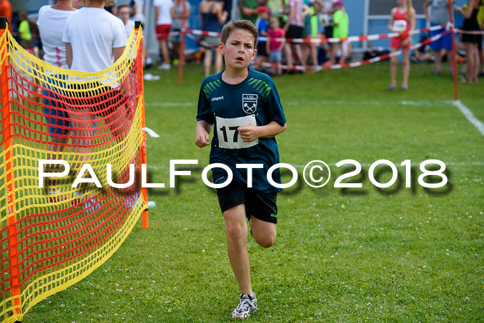 Baira Cross Lauf, 1. Sommercup SGW
