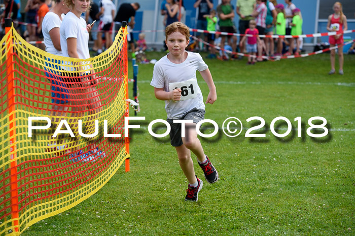 Baira Cross Lauf, 1. Sommercup SGW
