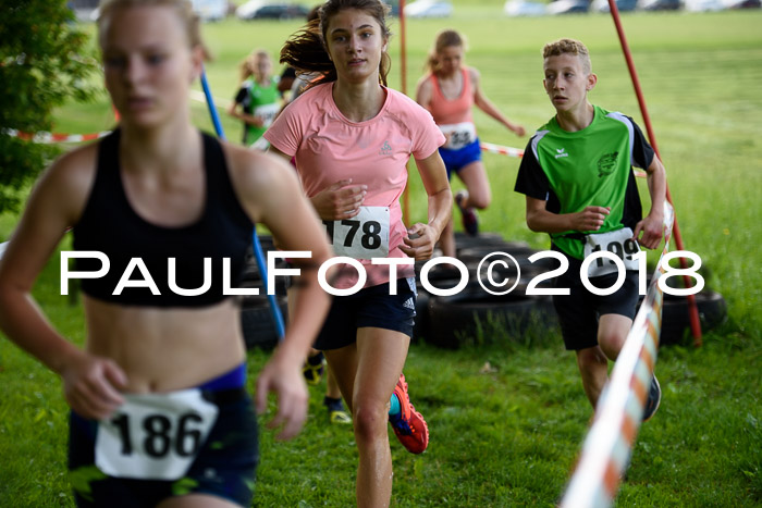 Baira Cross Lauf, 1. Sommercup SGW