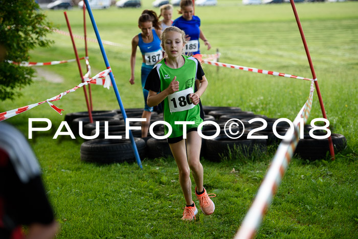Baira Cross Lauf, 1. Sommercup SGW