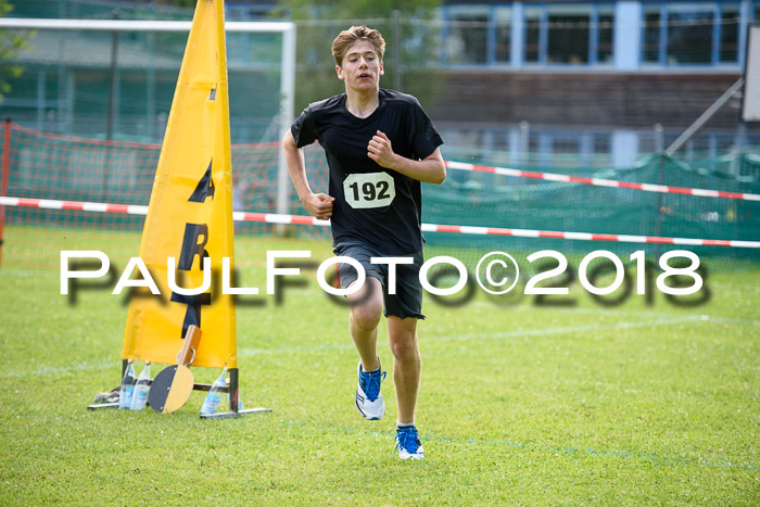Baira Cross Lauf, 1. Sommercup SGW