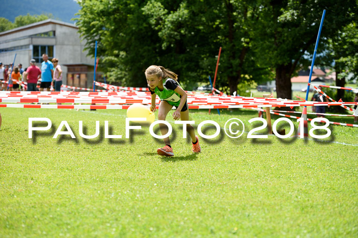 Baira Cross Lauf, 1. Sommercup SGW