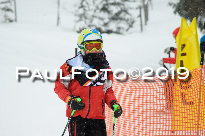 1. Ziener Cup SGW 2019