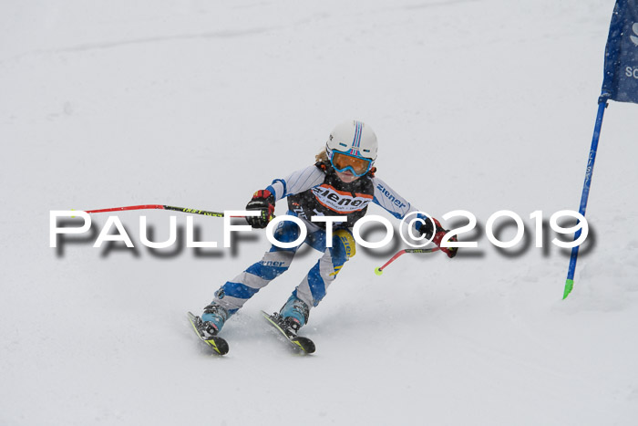 1. Ziener Cup SGW 2019
