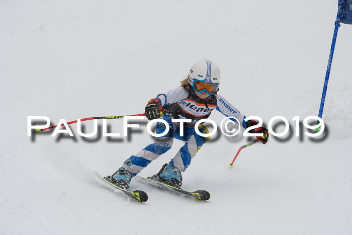 1. Ziener Cup SGW 2019