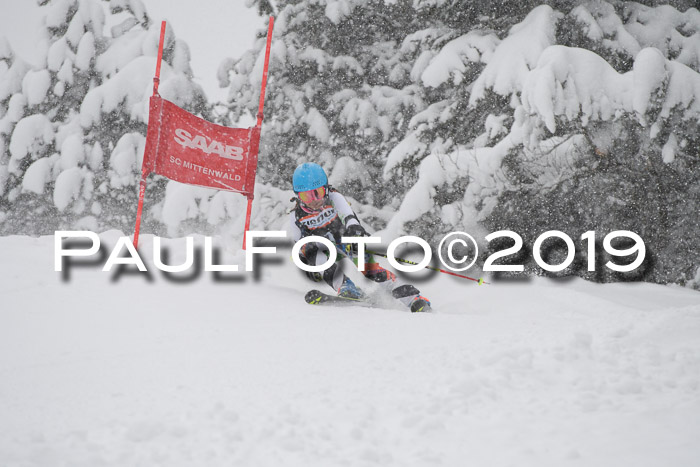 1. Ziener Cup SGW 2019