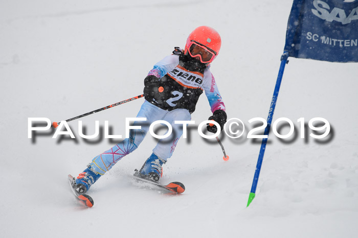 1. Ziener Cup SGW 2019