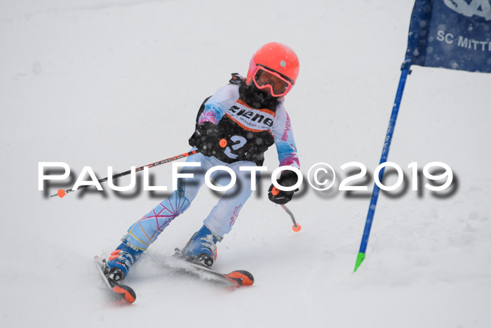 1. Ziener Cup SGW 2019