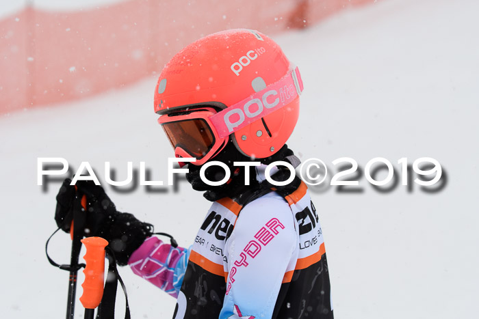 1. Ziener Cup SGW 2019