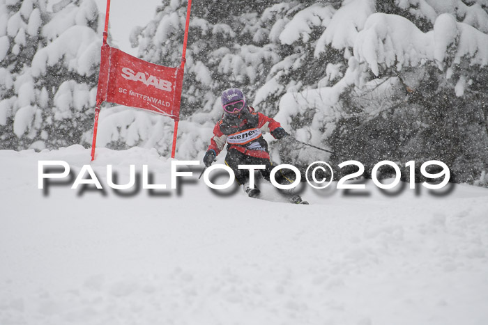 1. Ziener Cup SGW 2019