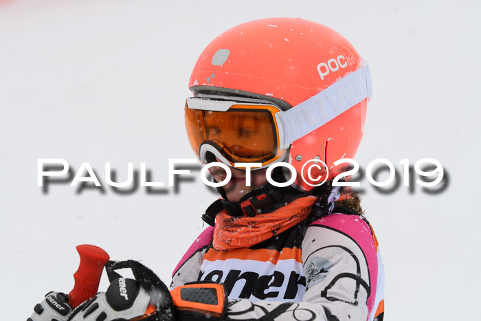 1. Ziener Cup SGW 2019