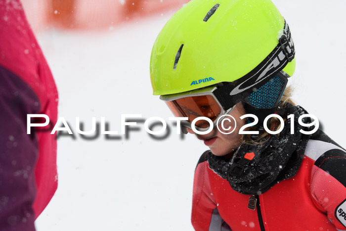 1. Ziener Cup SGW 2019