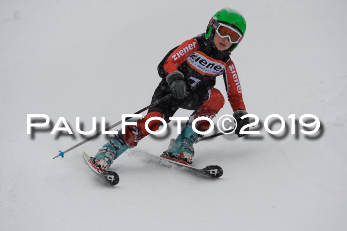 1. Ziener Cup SGW 2019