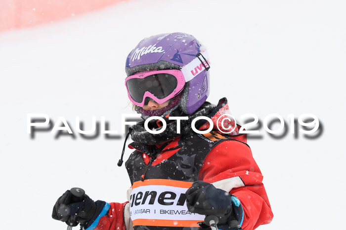 1. Ziener Cup SGW 2019