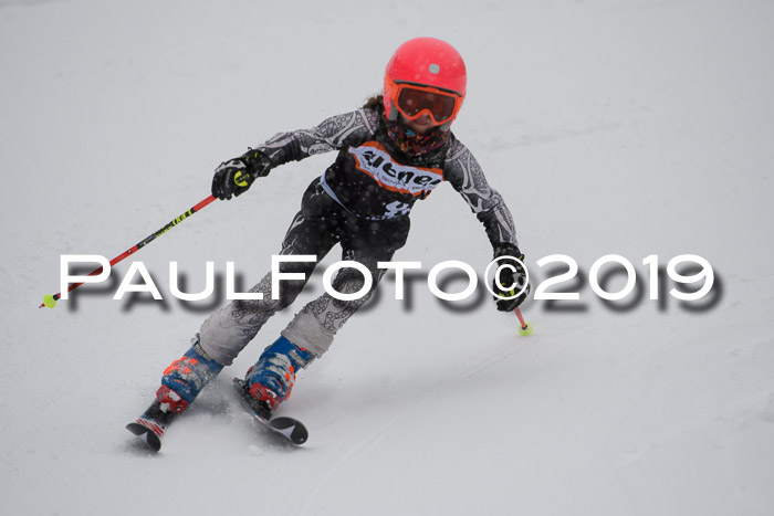 1. Ziener Cup SGW 2019