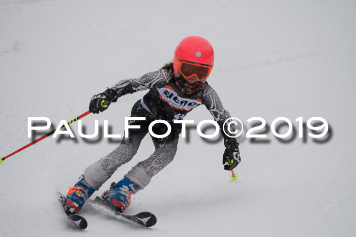 1. Ziener Cup SGW 2019