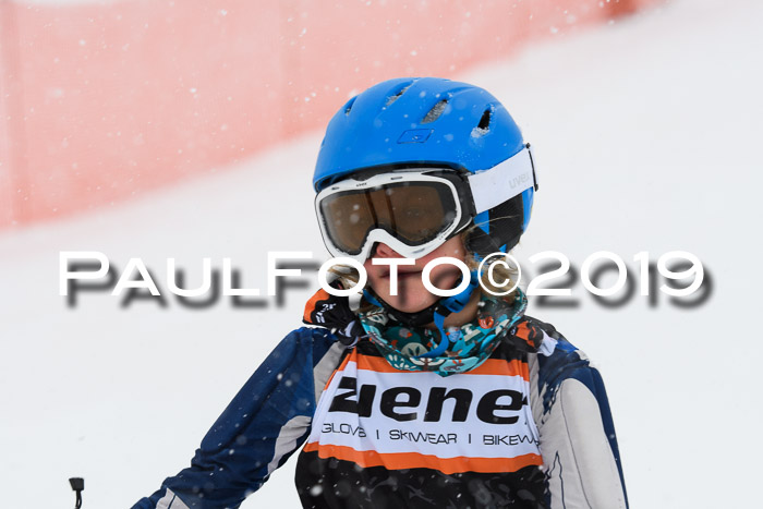 1. Ziener Cup SGW 2019