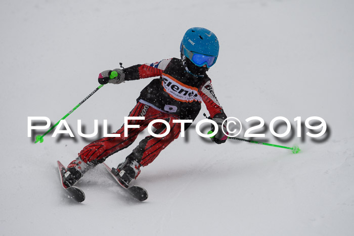1. Ziener Cup SGW 2019