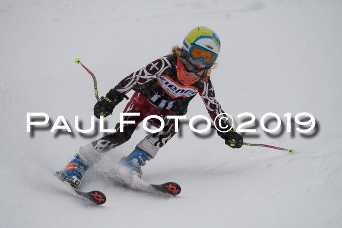 1. Ziener Cup SGW 2019