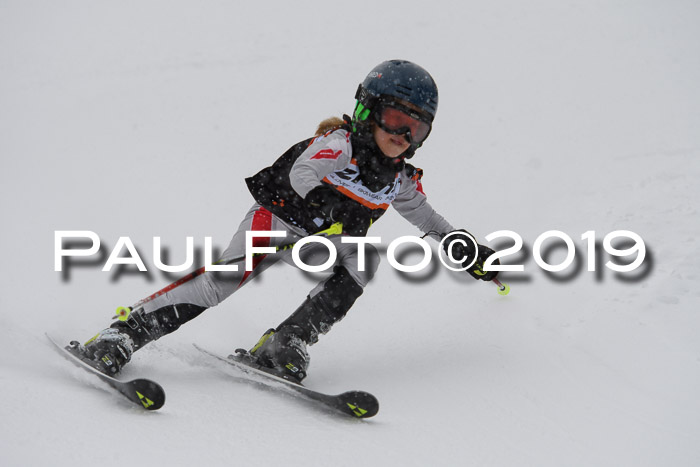 1. Ziener Cup SGW 2019