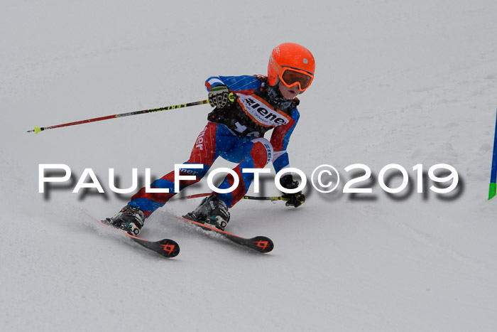1. Ziener Cup SGW 2019