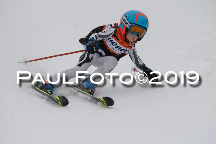 1. Ziener Cup SGW 2019