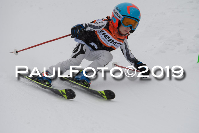 1. Ziener Cup SGW 2019