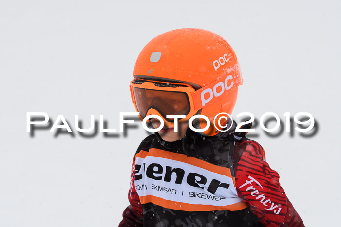 1. Ziener Cup SGW 2019