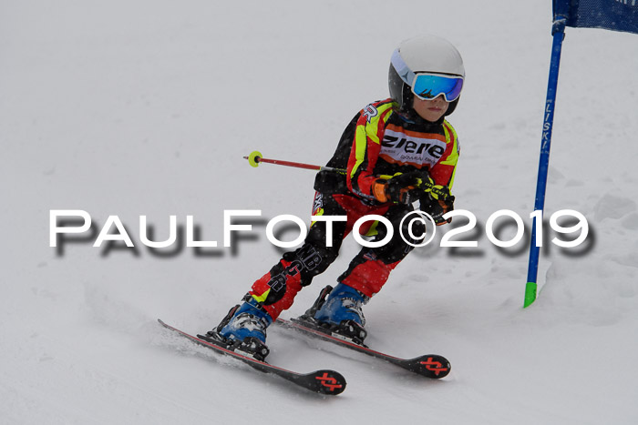 1. Ziener Cup SGW 2019