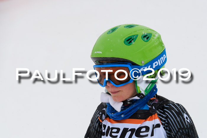 1. Ziener Cup SGW 2019