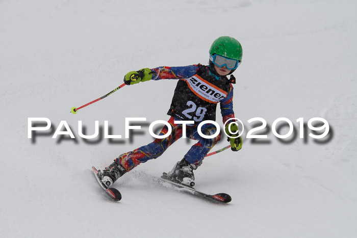 1. Ziener Cup SGW 2019