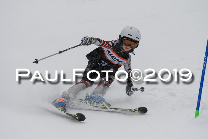 1. Ziener Cup SGW 2019
