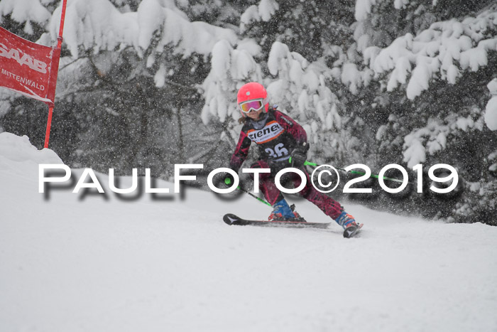 1. Ziener Cup SGW 2019