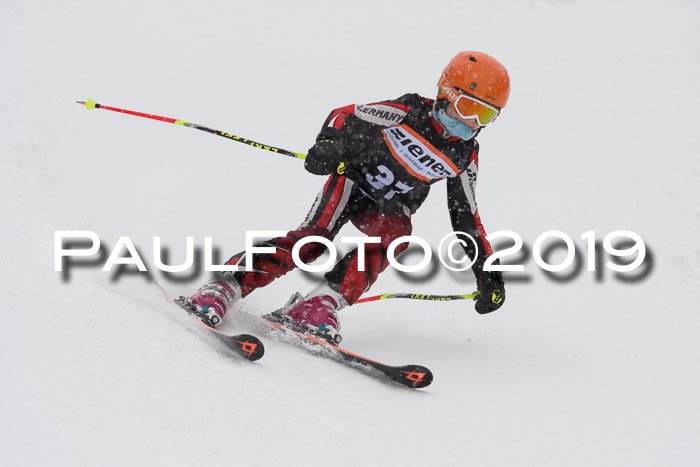 1. Ziener Cup SGW 2019