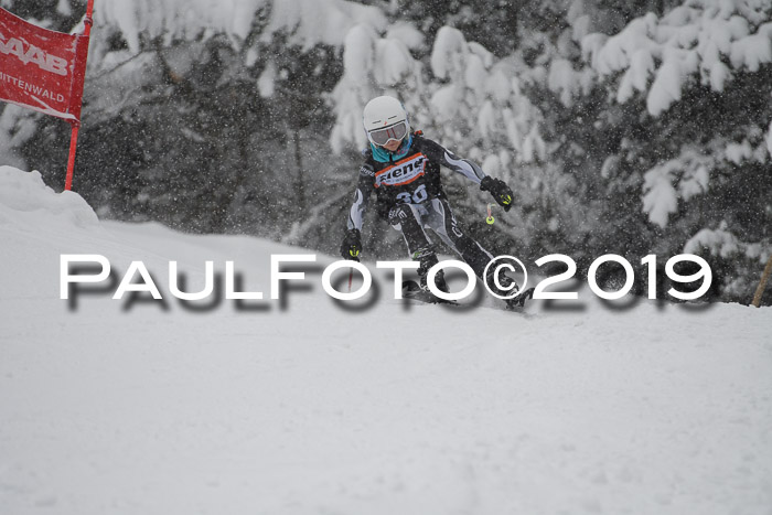 1. Ziener Cup SGW 2019