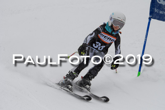 1. Ziener Cup SGW 2019