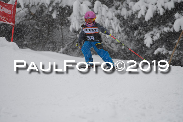 1. Ziener Cup SGW 2019