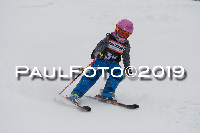 1. Ziener Cup SGW 2019