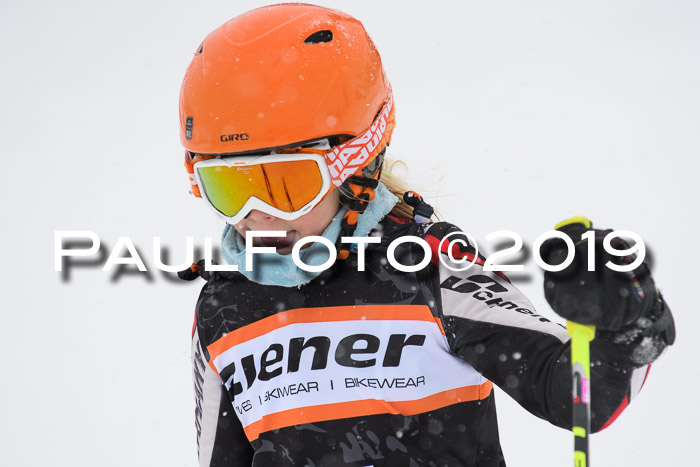 1. Ziener Cup SGW 2019