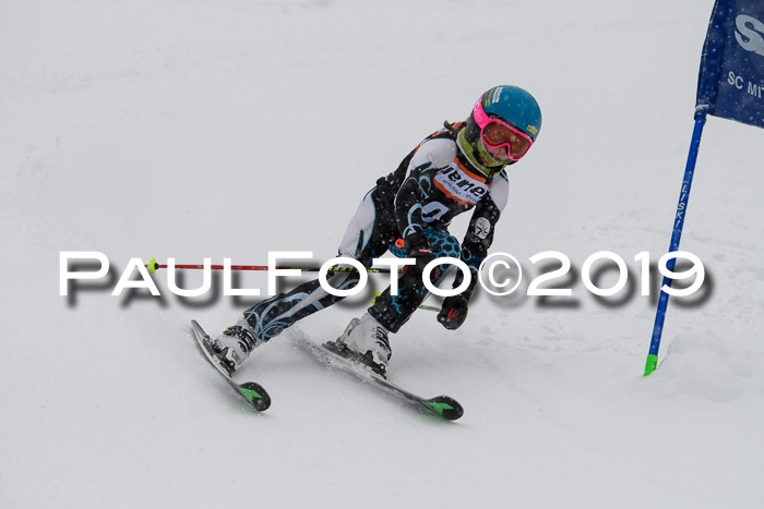1. Ziener Cup SGW 2019