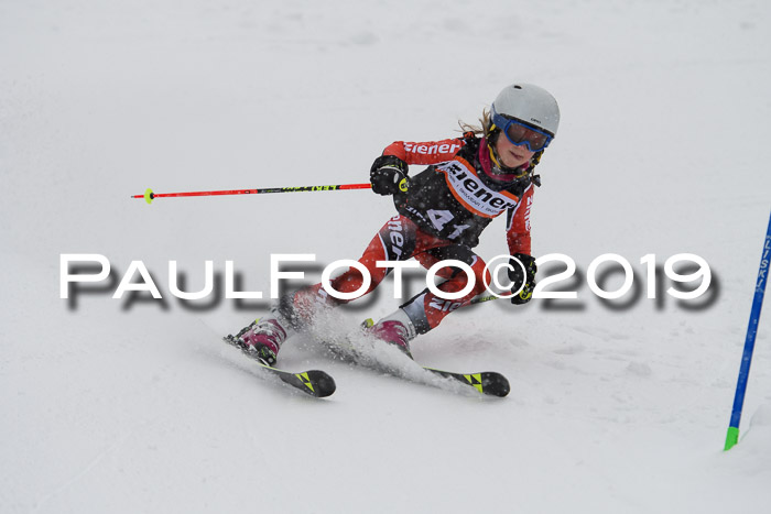 1. Ziener Cup SGW 2019
