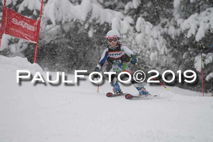 1. Ziener Cup SGW 2019