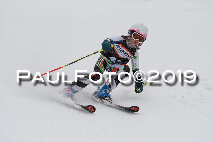 1. Ziener Cup SGW 2019