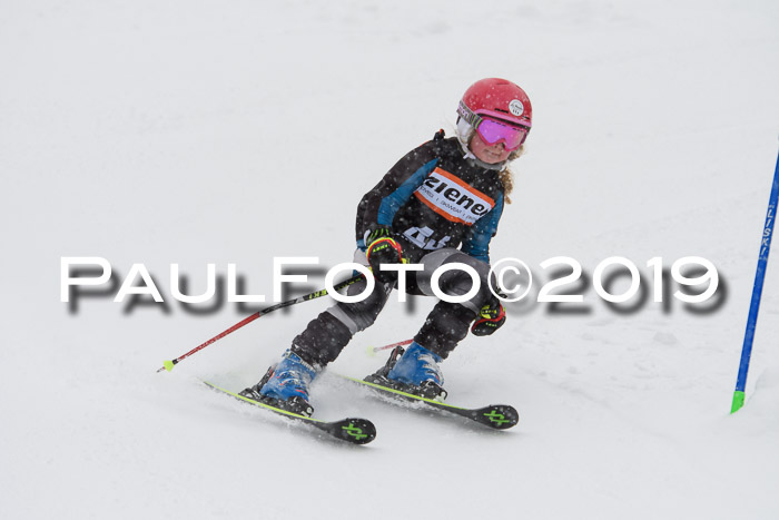 1. Ziener Cup SGW 2019