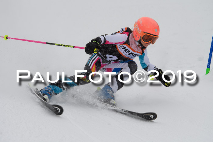 1. Ziener Cup SGW 2019
